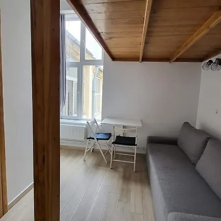 Cozy Old Town 9 - Selari Daire Bükreş